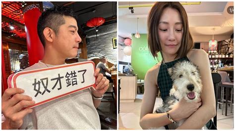 分手謝欣穎？王柏傑突曬愛犬照喊「miss U」 傳女方已搬家粉絲錯愕 娛樂星聞