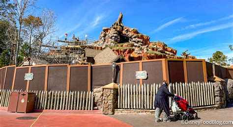 A Popular Ride Is Reopening In Disney World This Week The Disney