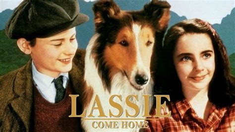 Lassie Come Home - Movie - Where To Watch