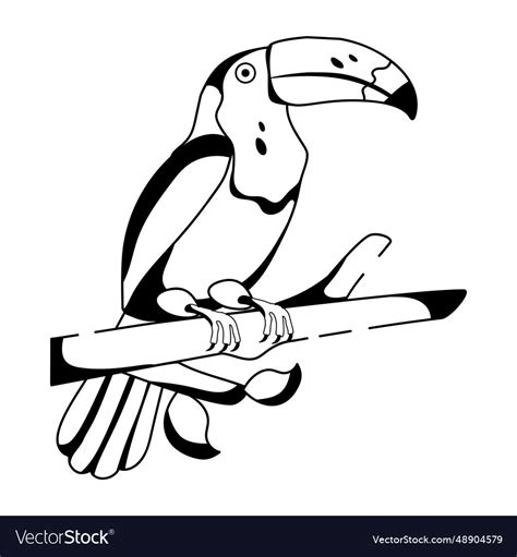 Toucan Royalty Free Vector Image - VectorStock