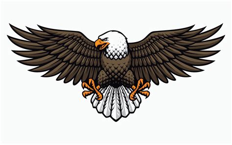 American Eagle Vector 4345665 Vector Art at Vecteezy