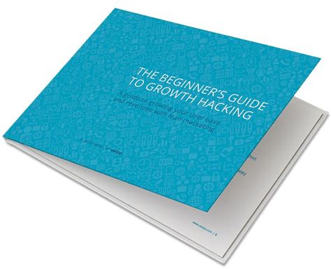 The Beginners Guide To Growth Hacking Frederik Hermann Growth