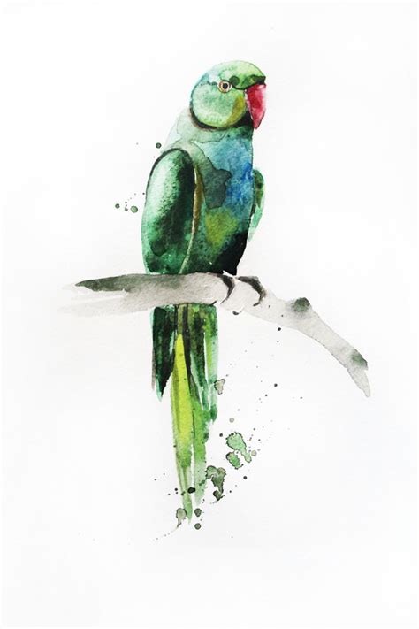 Original Watercolor Painting Parrot Bird Green Parrot Painting Bird