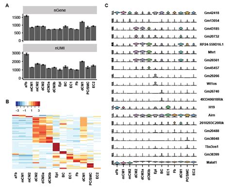 Massively parallel single-nucleus sequencing offers key tool in cardiac ...