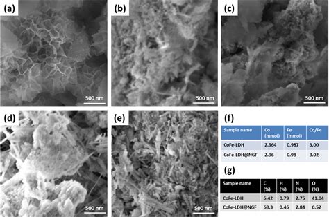 Cobaltiron Layered Double Hydroxide Nanosheet Wrapped Nitrogen Doped