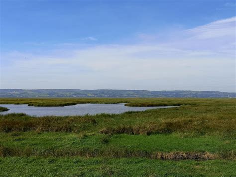 View of the marshes at Parkgate, Wirral looking towards Flint & Mostyn : r/britpics