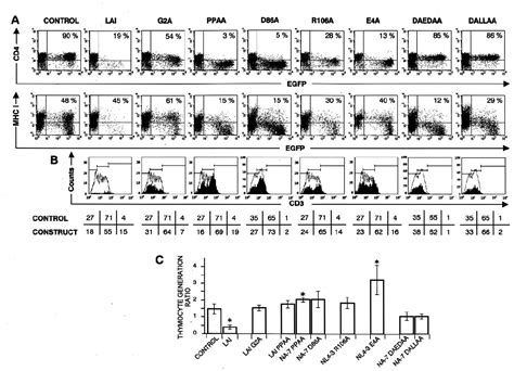 Figure 4 From Nef Induced Defects In Human Intrathymic T Cell