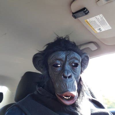 BigCheese On Twitter Lillyvig Hot As Fuck Twitter