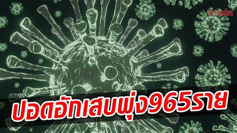 ปอดอักเสบพุ่ง965ราย โควิดวันนี้ ดับ29ศพ ป่วยใหม่ลดลง เผยยอด Atk ข่าวสด