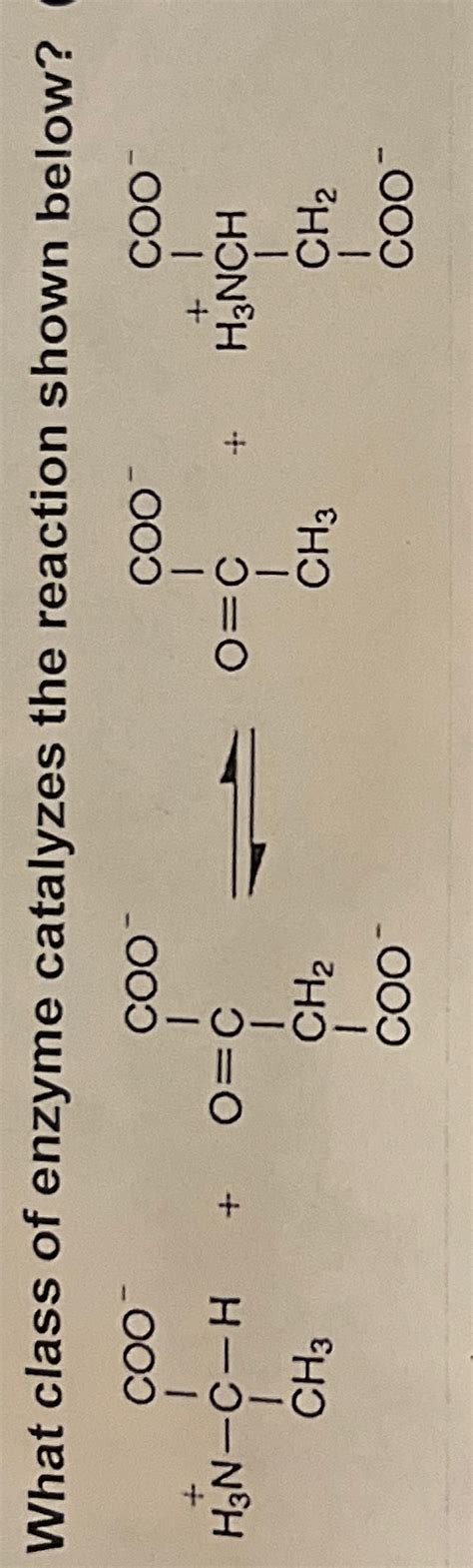 What Class Of Enzyme Catalyzes The Reaction Shown Chegg