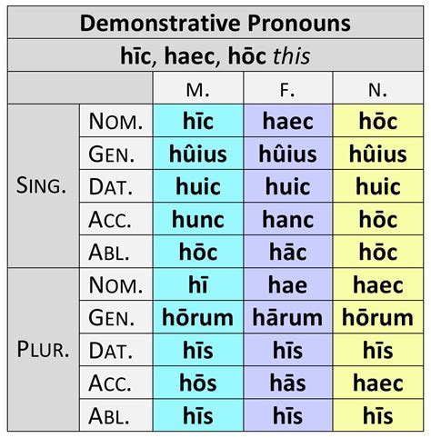 Latin Relative Pronouns Chart