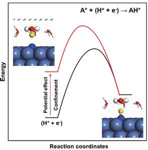 Theoretical understanding of electrocatalysis | EurekAlert!