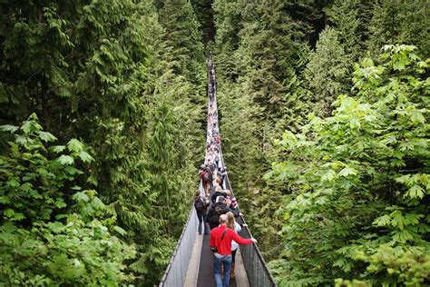 Capilano Suspension Bridge | MONTECRISTO