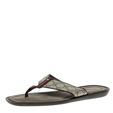 Gucci Gg Thong Web Sandal In Brown Lyst Atelier Yuwa Ciao Jp