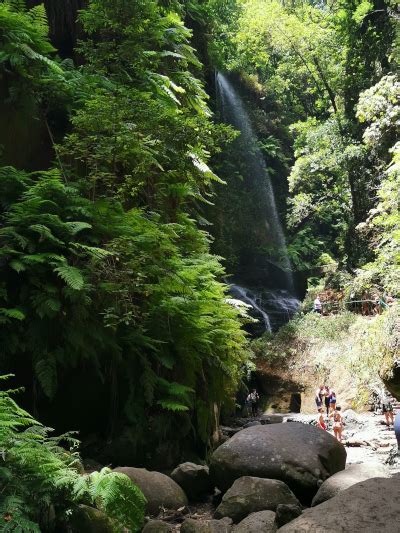 Ruta De Los Tilos En La Palma La Isla M S Bonita Del Mundo