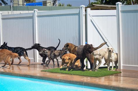 Ruff House Pet Resort (Riverside) - 221 Reviews - Pet Boarding in ...