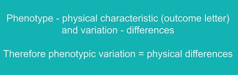 Phenotypic variations are the physical differences