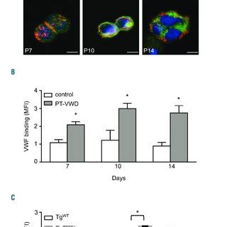 Effect Of Desmopressin DDAVP Administration On Platelet Count And