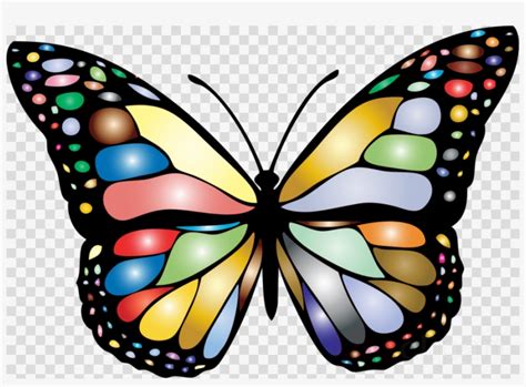 Clip Art Monarch Butterfly Clipart Monarch Butterfly Different Colors