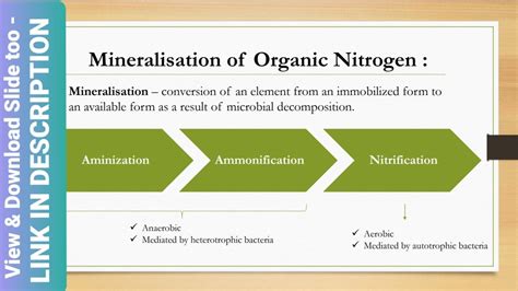 Mineralization Of Organic Nitrogen Soil Science Arun Katyayan Youtube