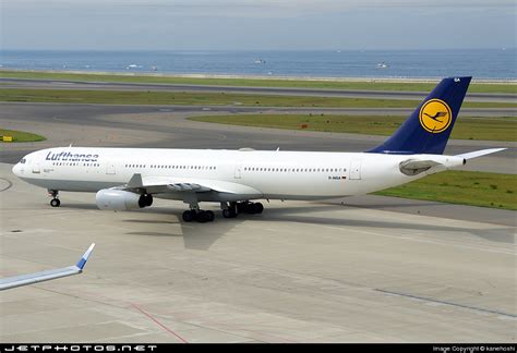 D AIGA Airbus A340 311 Lufthansa Kanehoshi JetPhotos