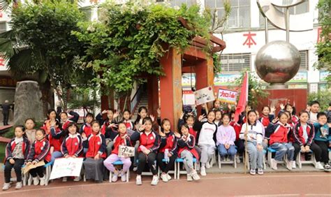 西平县实验小学举行2023年春季师生田径运动会 中华网河南