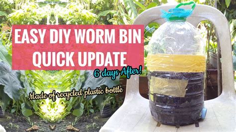 Easy Diy Worm Bin Made Of Recycled Plastic Bottle Quick Update Youtube