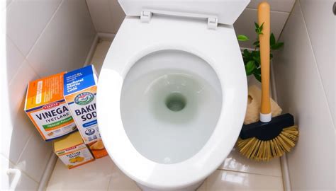 How To Remove Toilet Bowl Stains Best Practices And Natural Solutions