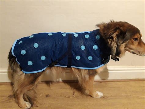 Meet Storm Matilda And Marshall Modelling Their Magnetic Dog Coats