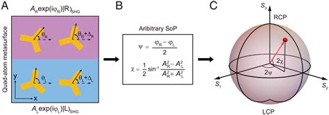 Nonlinear Vectorial Holography With Quad Atom Metasurfaces Pnas