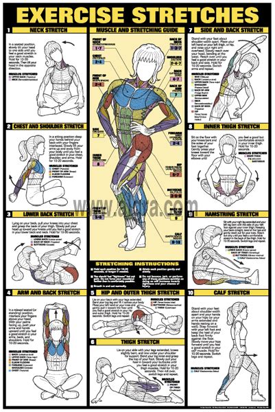 Basic Stretching Chart