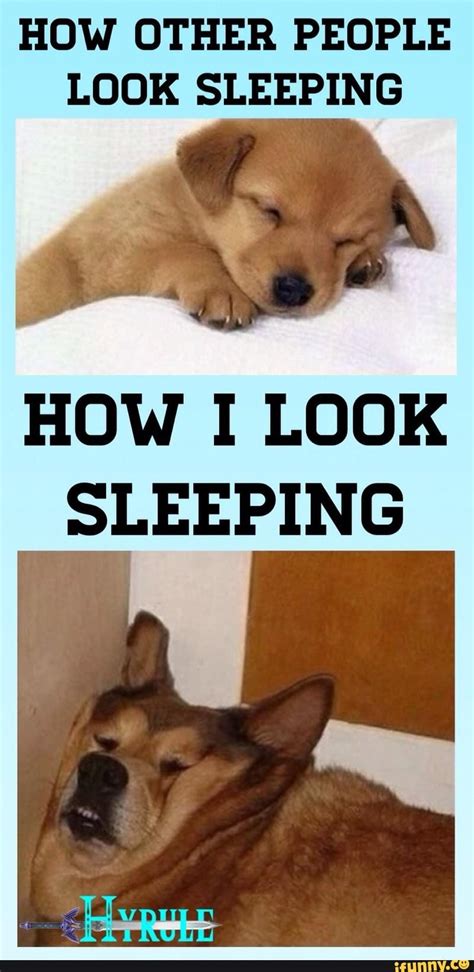 √ Sleeping With Dog Meme