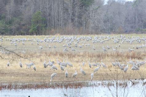 Wheeler National Wildlife Refuge