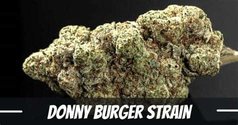 Donny Burger Marijuana Strain Information and Review 2024