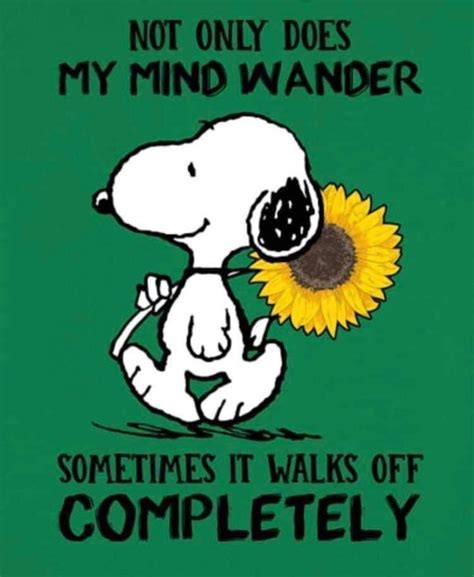 Pin By Darla Mezei On Snoopy And The Peanuts Gang Snoopy Quotes Snoopy Funny Snoopy Pictures