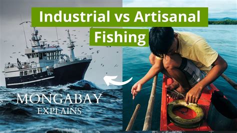 What Is The Difference Between Industrial And Artisanal Fishing