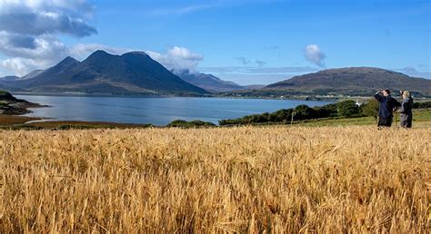 Winter Tour Times & Closure Information 2019/2020 | Isle of Raasay Distillery