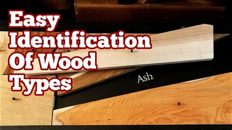 Easy Identification Of Wood Types Youtube