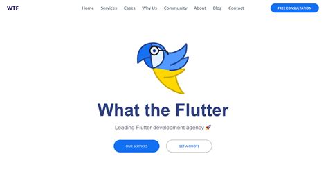 Top Flutter App Development Companies And Developers In The Us Reverb