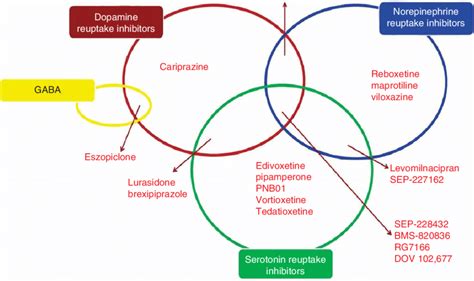 Serotonin And Norepinephrine Reuptake Inhibitors