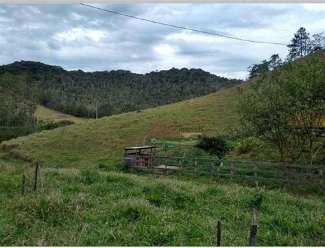 Fazenda Sítio 100 m² em Centro em Natividade da Serra por R 300 000