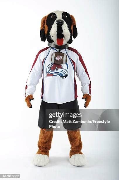 Colorado Avalanche Mascot Photos and Premium High Res Pictures - Getty ...