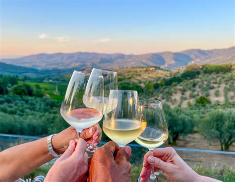 Comparing Wine Regions: Why California's Vineyards Stand Out