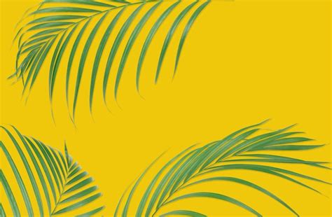 Premium Photo Tropical Palm Leaves On Yellow Background Minimal