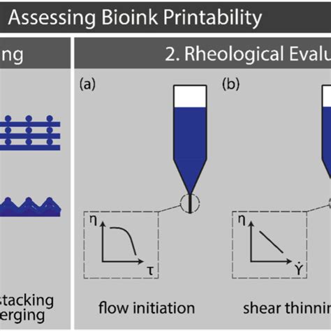 Pdf Proposal To Assess Printability Of Bioinks For Extrusion Based