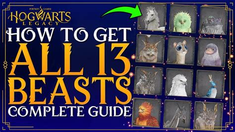 Hogwarts Legacy How To Get All Beasts Complete Guide On All Beast