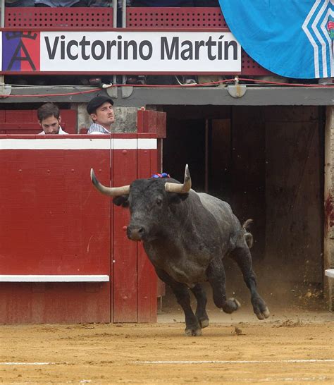 F Tes De La Madeleine Les Victorino Martin Et La Corrida