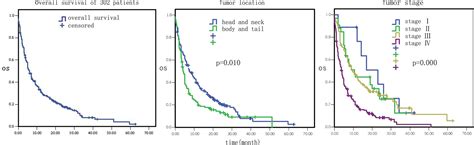 Prognostic Factors In Patients With Pancreatic Cancer