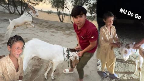 Finally Qurbani Ka Bakra Ly Lia Bacha Rona Lag Gea Emotional