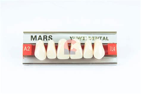 Mars Pontics Tl A New Citizens Dental Supply And General Merchandise